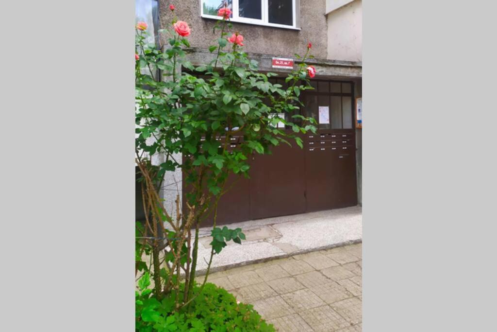 Lovely City Center 1Bd, 1Bt Apartment Sofya Dış mekan fotoğraf